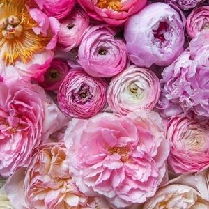 Meet your Posher, Becca